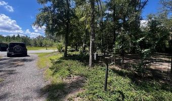 4700 55th Ave, Bell, FL 32619