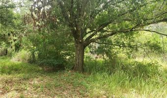 4400 E Quail Run, Avon Park, FL 33825
