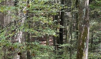 360 Ives Hill Rd, Afton, NY 13730