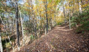 4149 NE Suiter Rd, Bastian, VA 24314