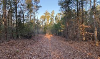 Spann Road, Batesburg Leesville, SC 29006