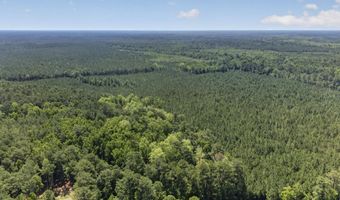 82 Acres Point Caswell Rd, Atkinson, NC 28421