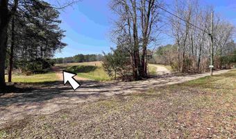 163 Acres Duck Springs Rd, Attalla, AL 35954