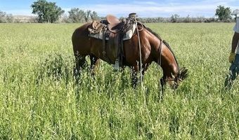 TBD Hwy 30, Basin, WY 82410