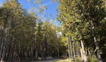 9415 Wreck Rd, Alpena, MI 49707