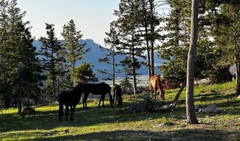 3235 Davis Ranch Rd, Bellvue, CO 80512
