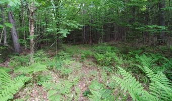 Map 14 lot 50, Andover, ME 04216