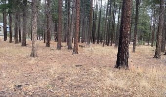 000 COUNTY ROAD 2196 LOT 74 AFE, Alpine, AZ 85920