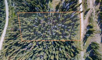 585 COUNTY ROAD 805, Breckenridge, CO 80424