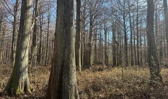 Cr 127, Abbeville, MS 38601