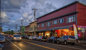 46-3916 HONOKAA WAIPIO Rd, Honokaa, HI 96727