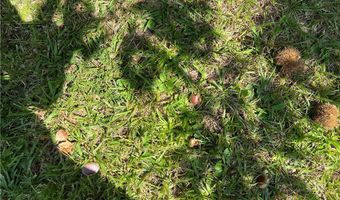 County Road 15, Bankston, AL 35542