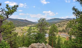 901 CR 64, Bailey, CO 80421