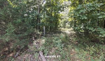 16949 Us 160, Alton, MO 65606