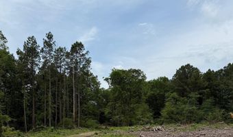2367 346 Hwy, Amity, AR 71921