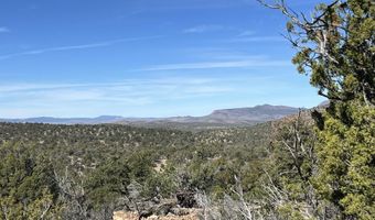 362 Big View Trl, Ash Fork, AZ 86320