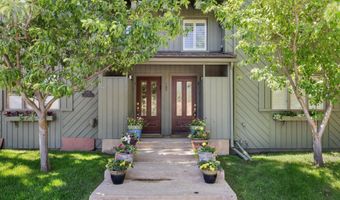 125 E Hyman Ave 1A, Aspen, CO 81611