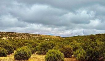 Tbd Co Rd 8256 Lot E 10 Acres, Concho, AZ 85924