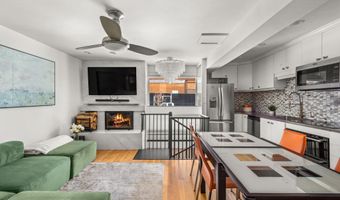 250 S Original St D, Aspen, CO 81611