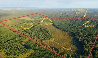 644 Ash-Harrel Loop, Abbeville, GA 31001