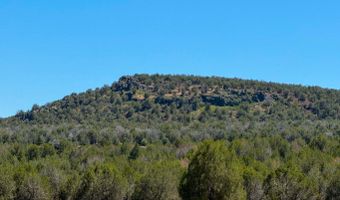 Stagecoach Dr 47 Acres, Ash Fork, AZ 86320