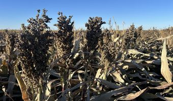 00000 CR 140, Alexander, KS 67513
