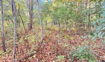 COUNTY ROAD Z lot 4, Aniwa, WI 54408