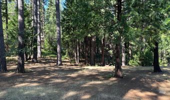 2142 El Dorado Dr, Arnold, CA 95223