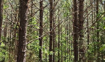 26 55 Acres Namozine Rd, Amelia Court House, VA 23002