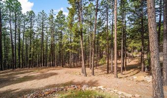272 Timber Dr, Bayfield, CO 81122