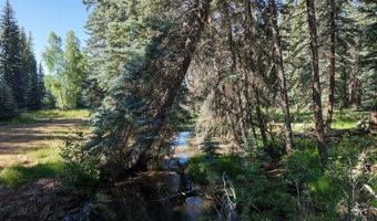 201 Golden Forest Rd, Bayfield, CO 81122