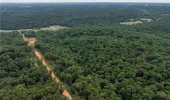 15 31 Acres Punkin Hollow Rd, Bentonville, AR 72712