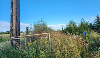 2051 120th St, Balaton, MN 56115