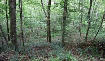 0 COUNTY ROAD 61 366.92 acres, Fruithurst, AL 36262