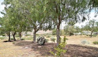 32151 Quirk Rd, Acton, CA 93510