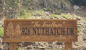 926 NUTHATCH Dr, Alma, CO 80420
