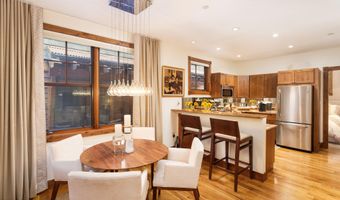 507 W Main St C101, Aspen, CO 81611
