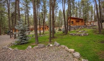 24 County Rd 2267, Alpine, AZ 85920