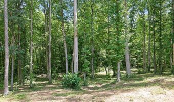 9645 Old Riverside Ln, Ball Ground, GA 30107