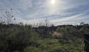 18250 RAVENSWOOD Rd, Altoona, FL 32702