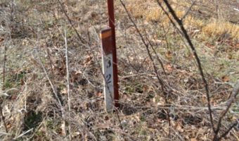 4 13ac Hush Hollow Lane Lot 31-33, Baxter, TN 38544
