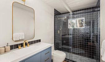 980 Cemetery Ln, Aspen, CO 81611