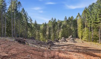 NW Green Mountain Rd 1, Banks, OR 97106