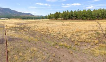 3 County Rd. N2157 Parcel 3, The Meadows Edge, Alpine, AZ 85920