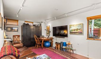 308 Park Ave, Aspen, CO 81611