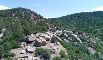 25850 River Pines Rd, Aguilar, CO 81020