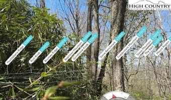 62 Acres Buckeye Ridge Rd, Beech Mountain, NC 28604
