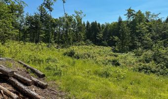Sawyer Notch Road lot 39B, Andover, ME 04216