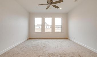101 Consolation Dr, Millsap, TX 76066
