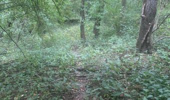 V/L Springhill Drive, Allegan, MI 49010